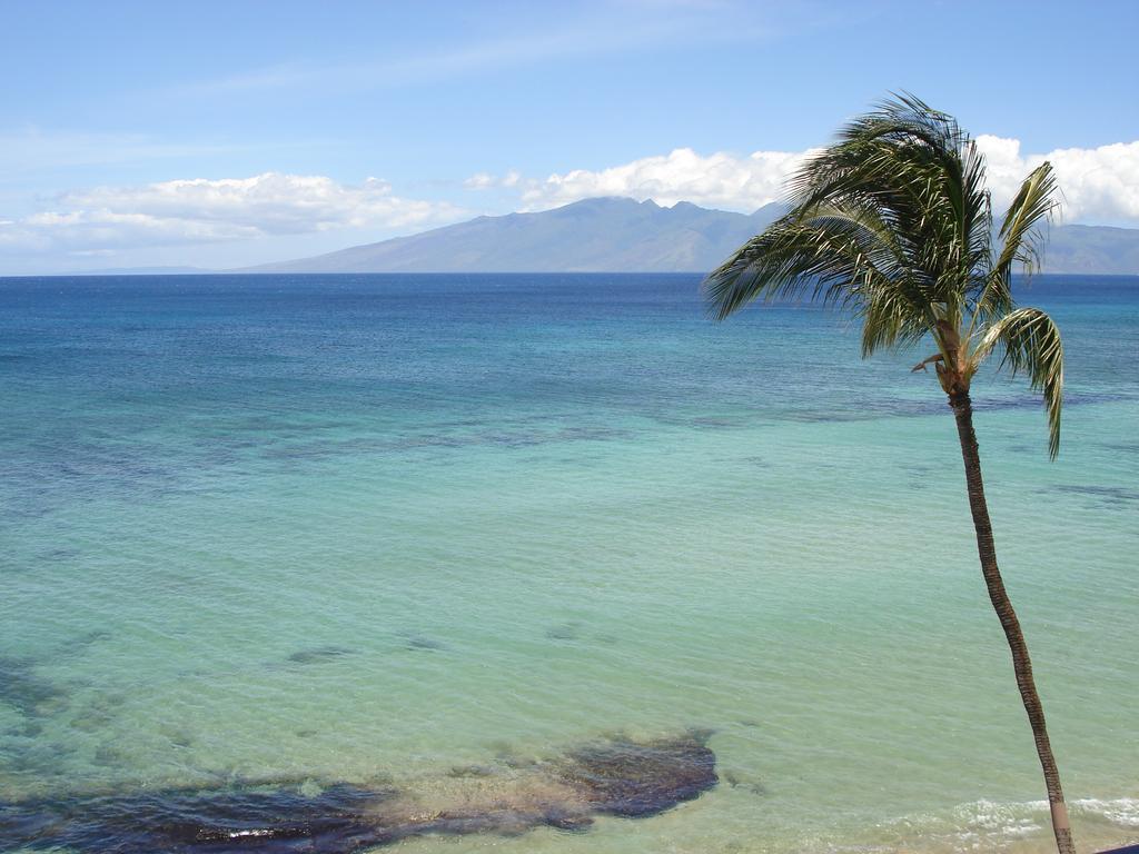 Kaleialoha Condominiums Lahaina Bagian luar foto