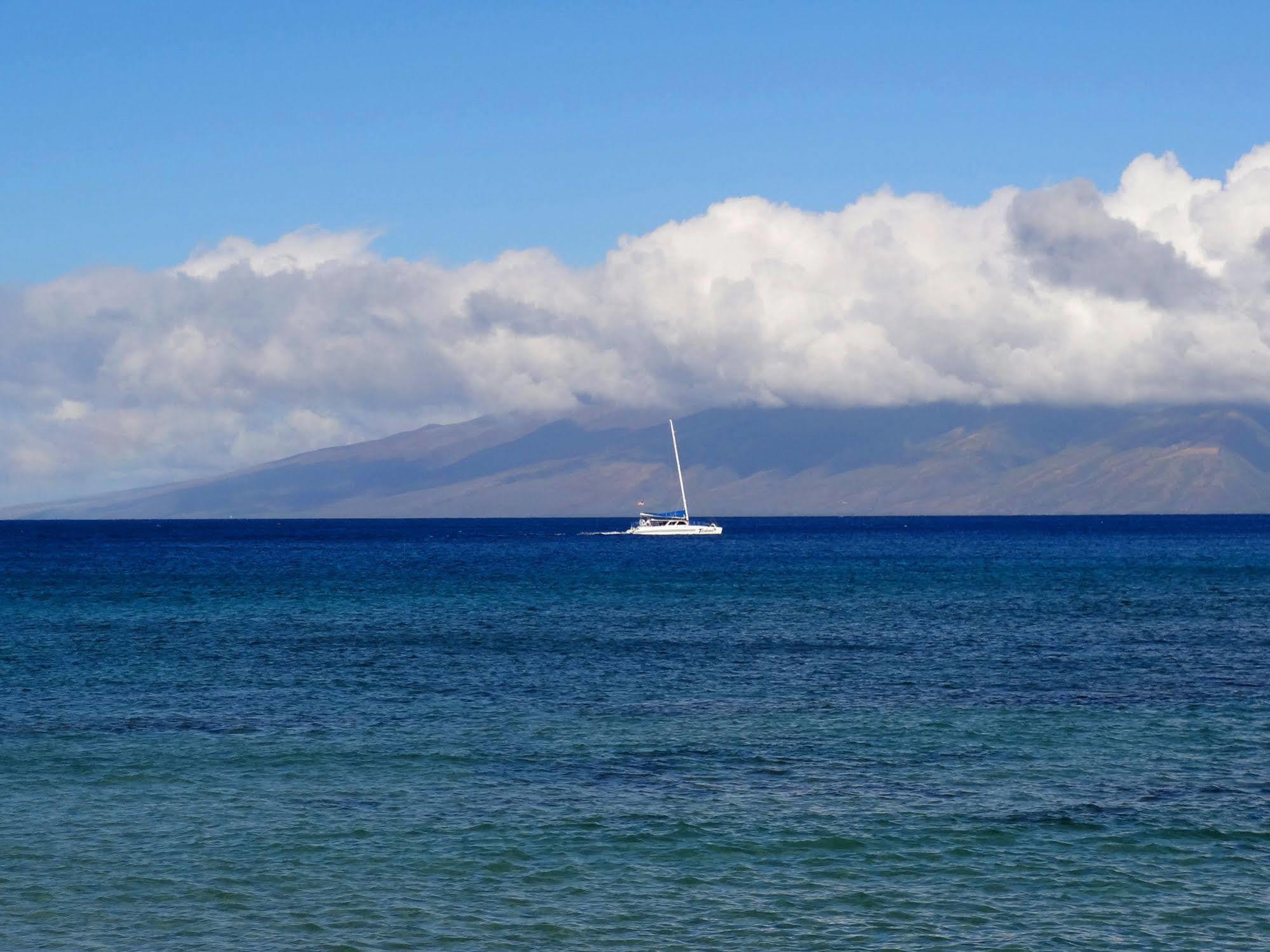 Kaleialoha Condominiums Lahaina Bagian luar foto